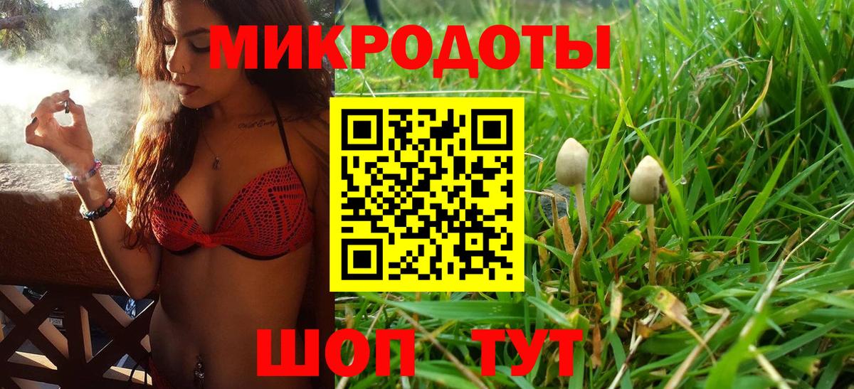 Галлюциногенные грибы GOLDEN TEACHER Махачкала